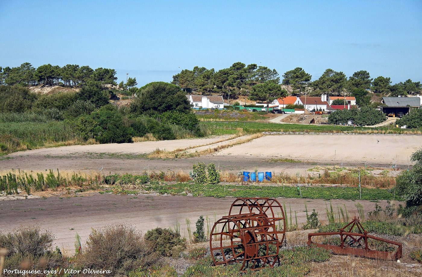 Foto: Vitor Oliveira from Torres Vedras, PORTUGAL / Wikimedia Commons (CC BY-SA 2.0)