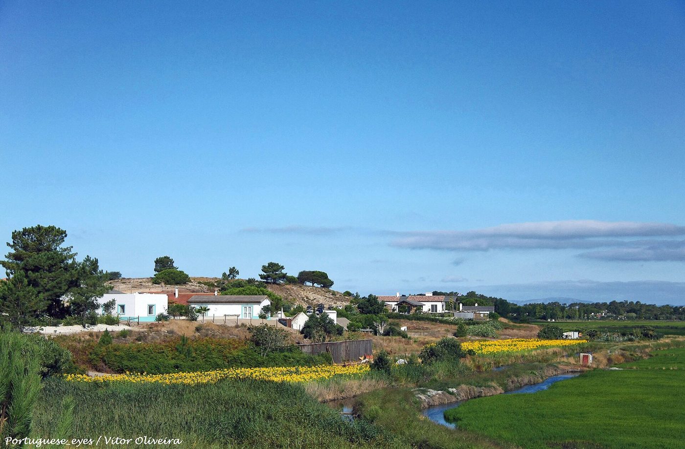 Foto: Vitor Oliveira from Torres Vedras, PORTUGAL / Wikimedia Commons (CC BY-SA 2.0)