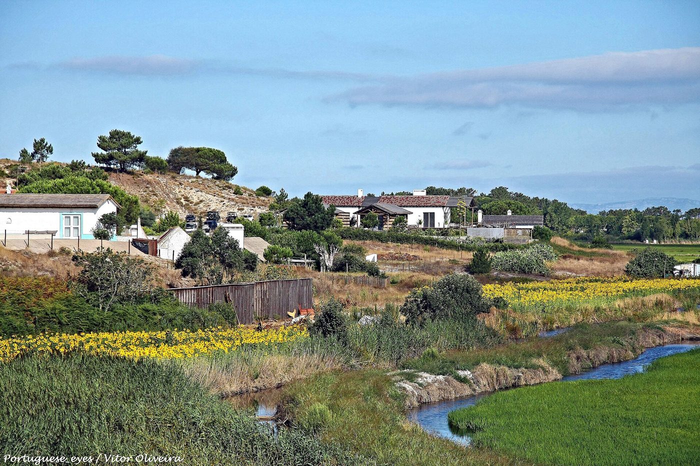 Foto: Vitor Oliveira from Torres Vedras, PORTUGAL / Wikimedia Commons (CC BY-SA 2.0)